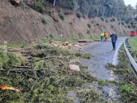 sopralluogo calamai frana 325 localit Camini (Vai