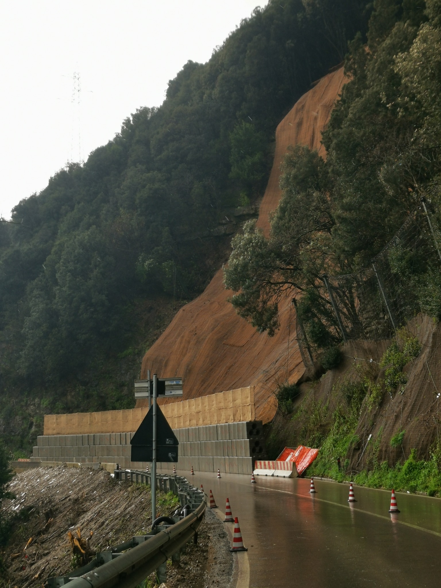 Frana Località Le Coste: in fase di  ....